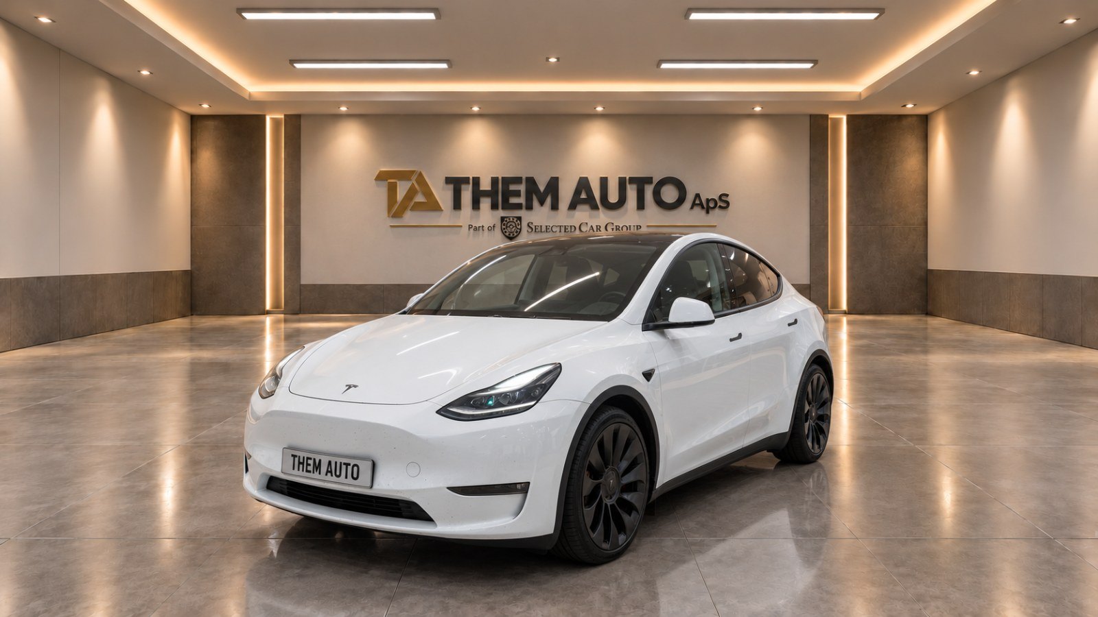 Tesla Model Y Performance Dual
